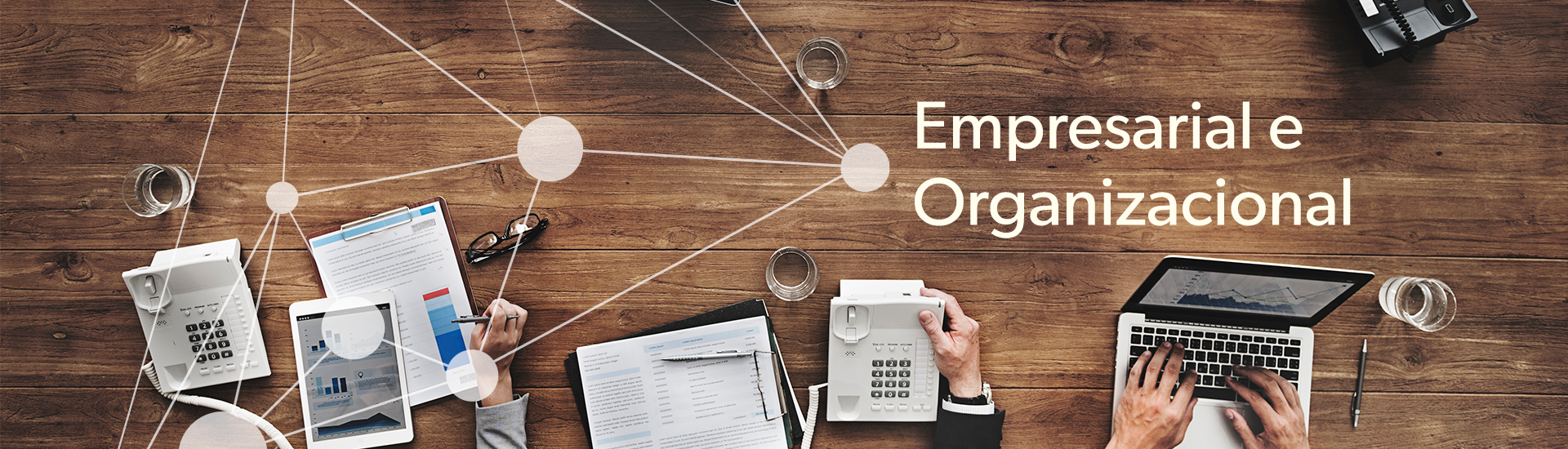Empresarial e Organizacional